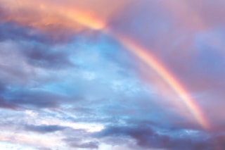 日日是好日 『虹を見る男』
