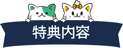 特典内容